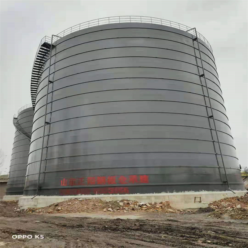 君山3万吨大型钢板库